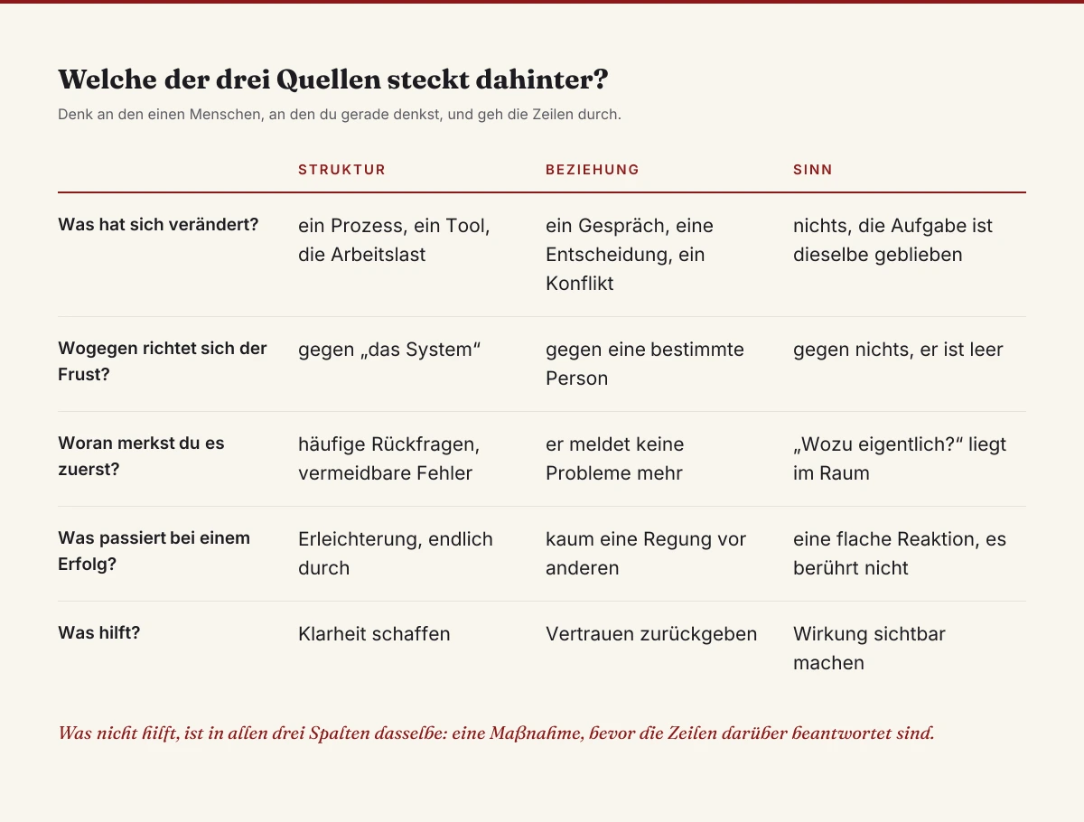 Diagnose-Raster für Demotivation mit den drei Quellen Struktur, Beziehung und Sinn: je Spalte die Antworten auf fünf Fragen, von der Veränderung über die Erkennungszeichen bis zu dem, was hilft